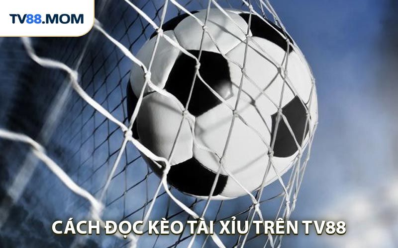Cách Đọc Kèo Tài Xỉu - Hướng Dẫn Chi Tiết Cho Người Chơi