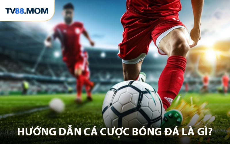 Hướng Dẫn Cá Cược Bóng Đá Trải Nghiệm Thể Thao Hấp Dẫn