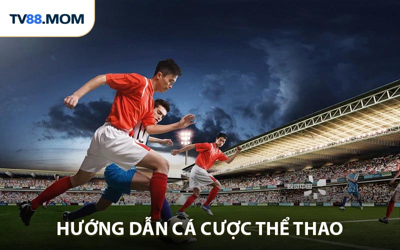Hướng Dẫn Cá Cược Bóng Đá Trải Nghiệm Thể Thao Hấp Dẫn