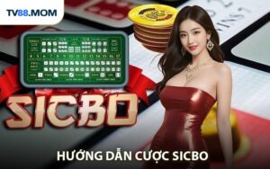 BLOG TV88 - tv88