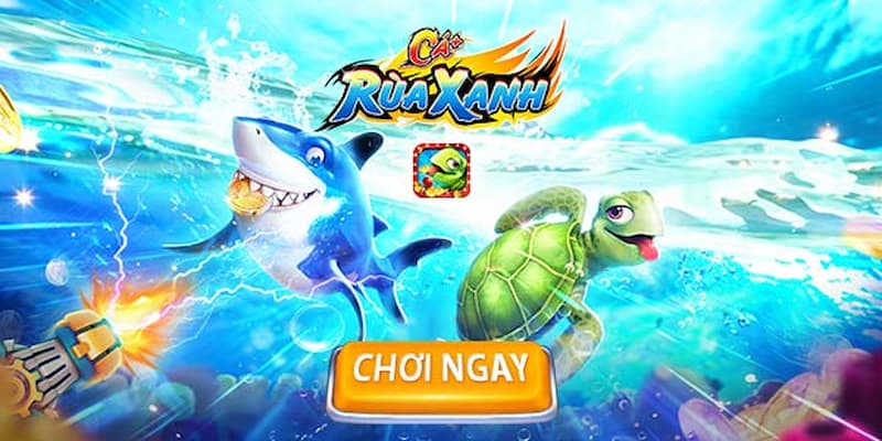 Bắn Cá Rùa Xanh - Trải Nghiệm Săn Thưởng Mê Quên Lối Về