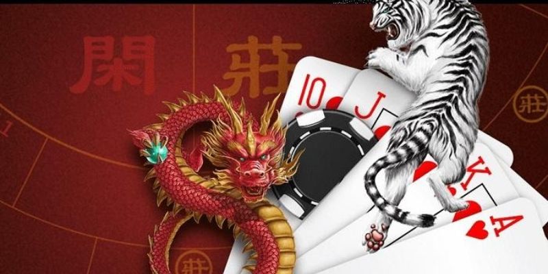 Cách Chơi Rồng Hổ S666 - Tăng Cơ Hội Thắng Lớn Cho Hội Viên
