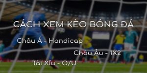 Thể Thao S666 Gây Ấn Tượng Với Kèo Thơm, Cược Trung Thực