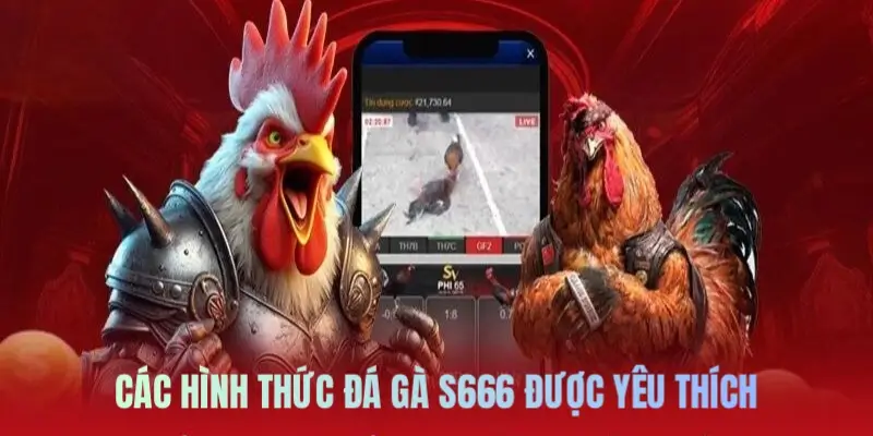 Đá Gà S666: Lựa Chọn Hàng Đầu Của Dân Chơi Mê Đối Kháng