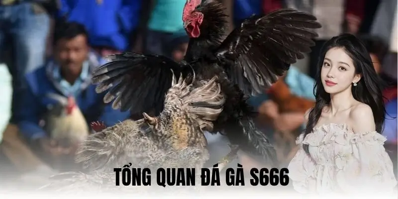 Đá Gà S666: Lựa Chọn Hàng Đầu Của Dân Chơi Mê Đối Kháng