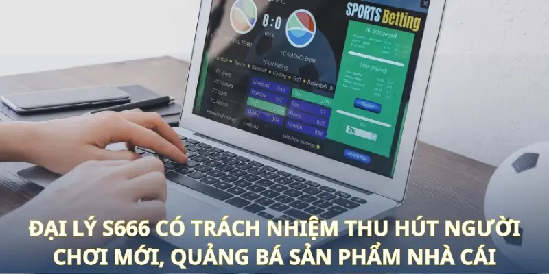 Đại Lý S666 - Tổng Hợp Thông Tin Chính Sách Và Quyền Lợi