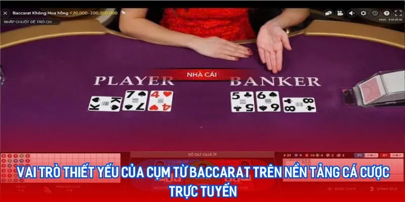 Thuật Ngữ Trong Baccarat Phổ Biến Dành Cho Tân Thủ